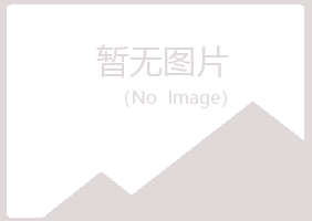 狮子山区女孩美容有限公司